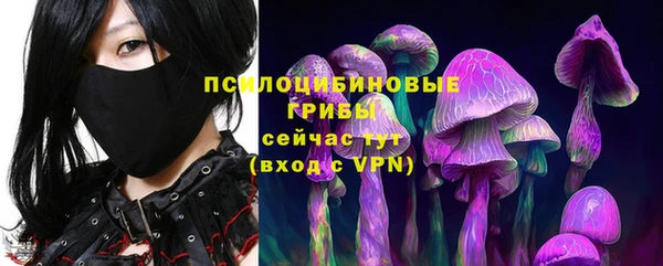 прущая мука Арсеньев