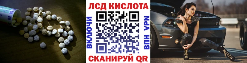 дарнет шоп  Сурск  LSD-25 экстази кислота 