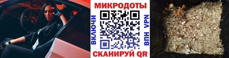 Галлюциногенные грибы MAGIC MUSHROOMS  Сурск 