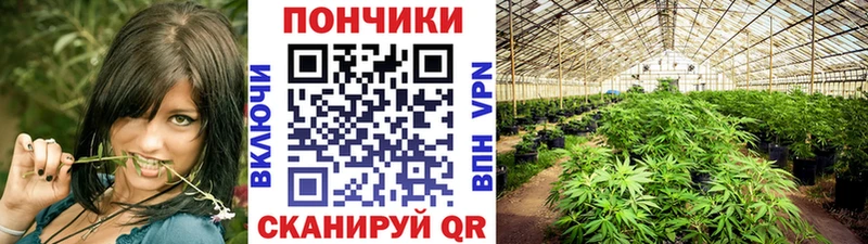 купить наркотики сайты  Сурск  OMG ССЫЛКА  Канабис LSD WEED 